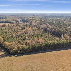 DJI_20251106101520_0069_D