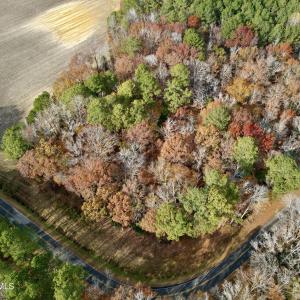 Aerial Top View