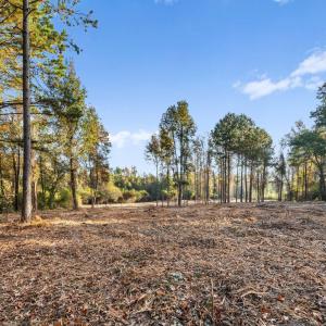 2-web-or-mls-2732-us-117