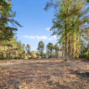 1-web-or-mls-2732-us-117