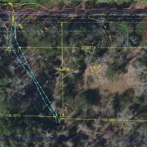 Lot 5 Wetlands Image