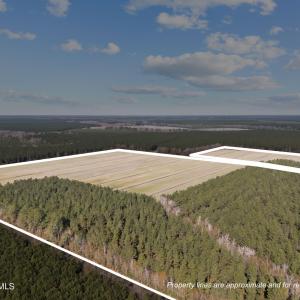 6-web-or-mls-DJI_20251011072535_0534_D_1