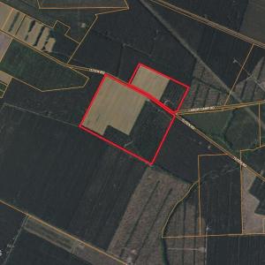 Screenshot 2025-11-25 at 2.54.36PM