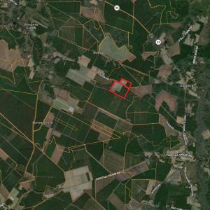 Screenshot 2025-11-25 at 2.54.53PM