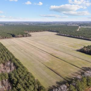 2-web-or-mls-DJI_20251011072421_0533_D