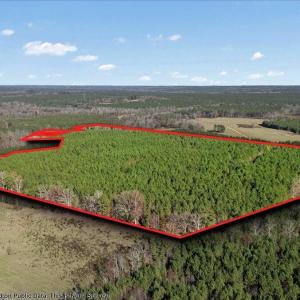 15-Finished nc 561 (5 of 10)PL