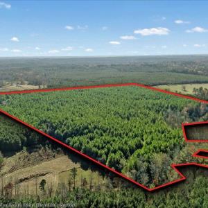 19-Finished nc 561 (9 of 10)PL