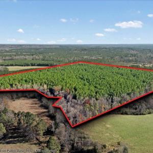 17-Finished nc 561 (7 of 10)PL