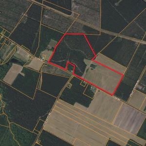 Screenshot 2025-11-25 at 2.40.56PM