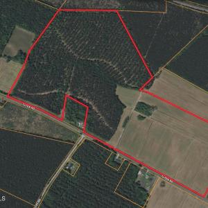 Screenshot 2025-11-25 at 2.40.39PM