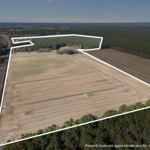 8-web-or-mls-DJI_20251011071623_0530_D_1