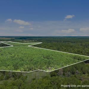 14-web-or-mls-DJI_20250711115032_0014_D_