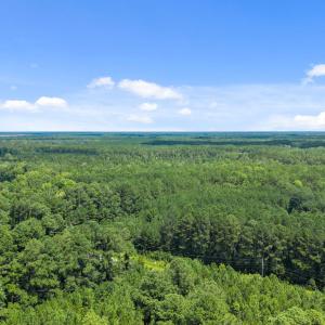 4-web-or-mls-DJI_20250711114943_0013_D