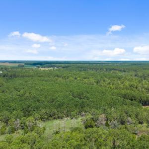 5-web-or-mls-DJI_20250711115032_0014_D