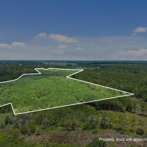 15-web-or-mls-DJI_20250711115055_0015_D_