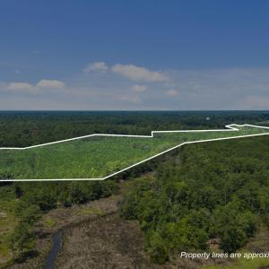 16-web-or-mls-DJI_20250711115141_0017_D_