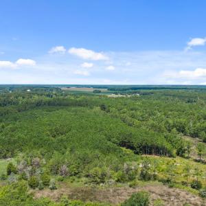 6-web-or-mls-DJI_20250711115055_0015_D