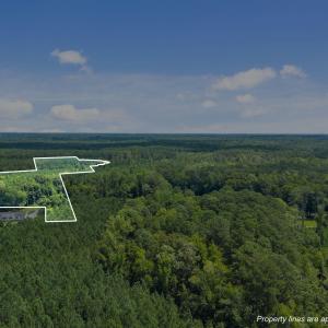 13-web-or-mls-DJI_20250711114905_0011_D_