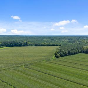 10-web-or-mls-DJI_20250711115617_0020_D