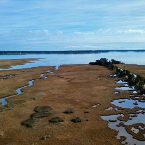 thumbnail_dji_fly_20260106_234006_54_176