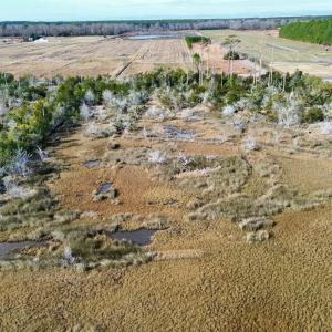 thumbnail_dji_fly_20260106_232750_42_176