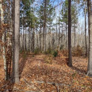 IMG_20231204_101739264_HDR