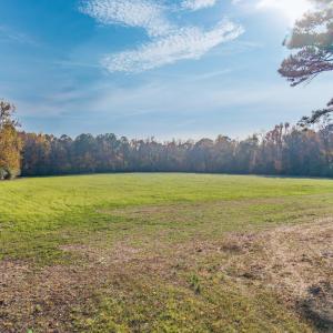 26-DJI_20251121035554_0073_D-HDR