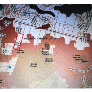 Deer Trot Rd GIS Wetlands