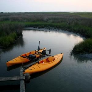 Exploring the estuaries