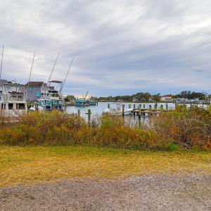 View from the Ground