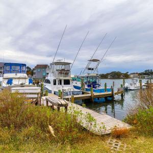 View from the Ground