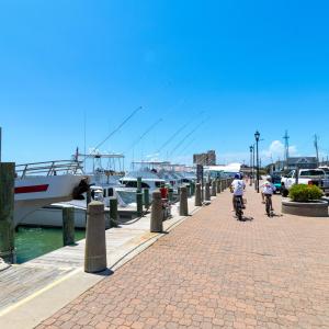 Proximate to Downtown Morehead City