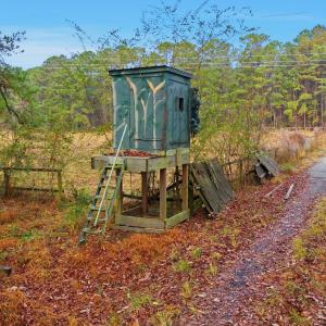 5_dji_20251204090812_0038_d