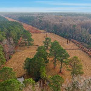 6_dji_20251204090349_0029_d