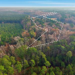 13_dji_20251204090245_0026_d-ll