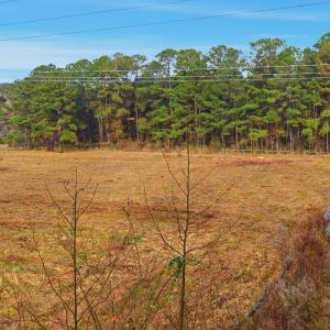 4_dji_20251204090724_0035_d