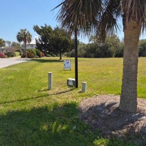 247573396908836814 (1)