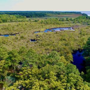 DJI_0095