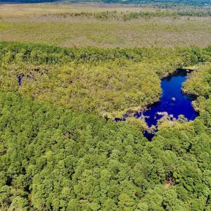 DJI_0024
