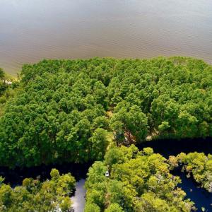 DJI_0120