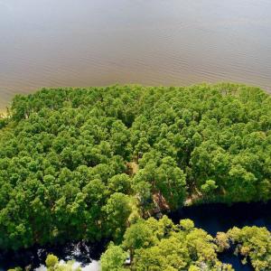 DJI_0121