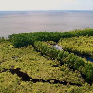 DJI_0104