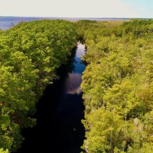 DJI_0085