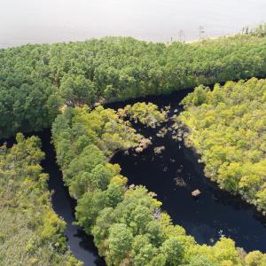DJI_0118