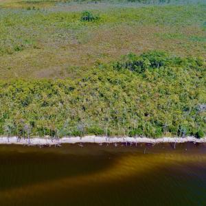 DJI_0039