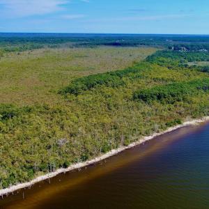 DJI_0038