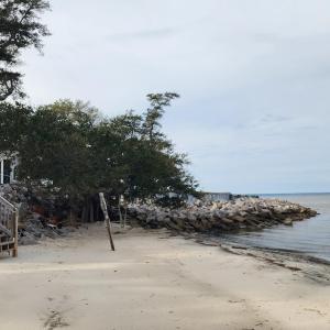 20251204_134329