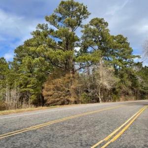 Photo #5 of New, Columbia, NC 4.5 acres