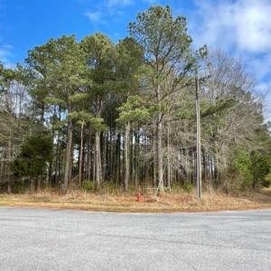 Photo #4 of New, Columbia, NC 4.5 acres
