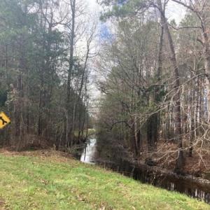Photo #7 of New, Columbia, NC 4.5 acres